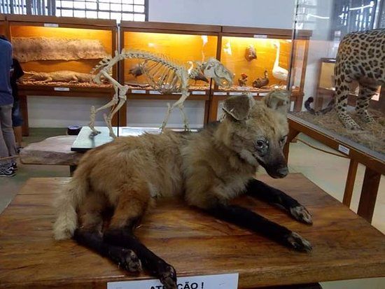 Natural Science Museum